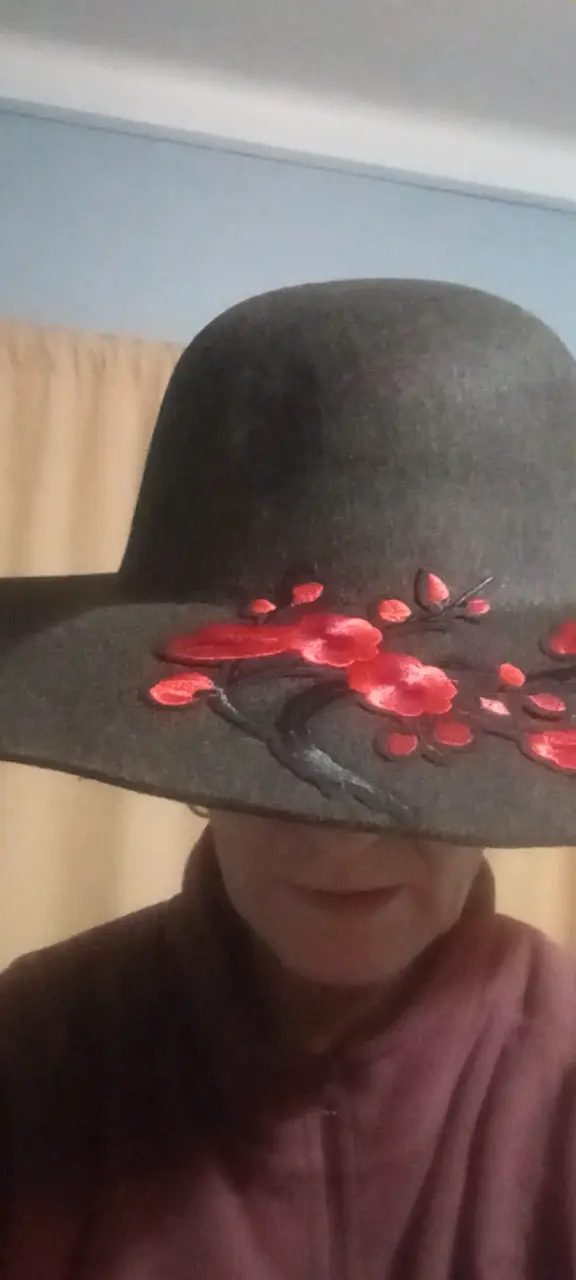 Sombrero Negro con Flores Rojas Decorativas - 2