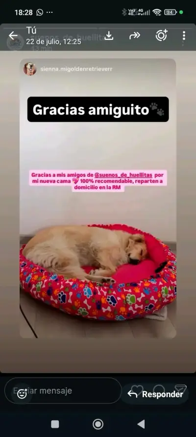 Cama reversible para perros de 90x90 cm - miniatura 1