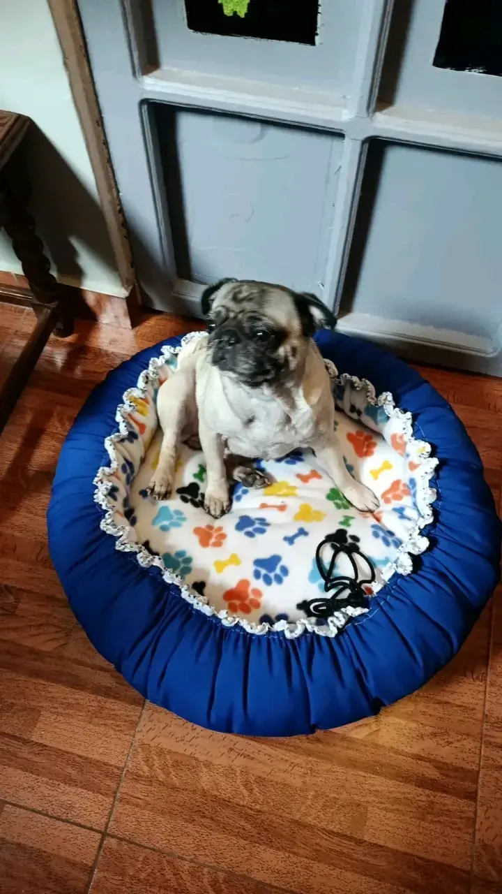 Cama reversible para perros de 90x90 cm - 2