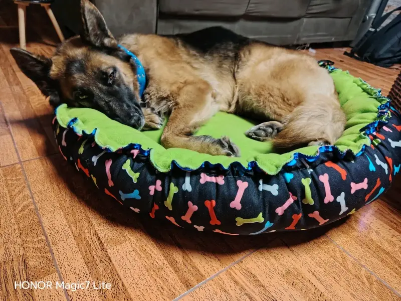 Cama reversible para perros de 90x90 cm - 5