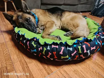 Cama reversible para perros de 90x90 cm - miniatura 5