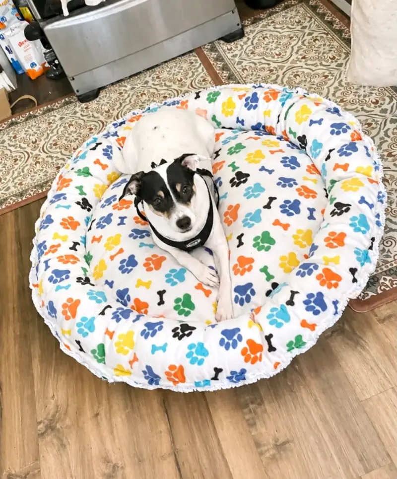 Cama reversible para perros de 90x90 cm - 6