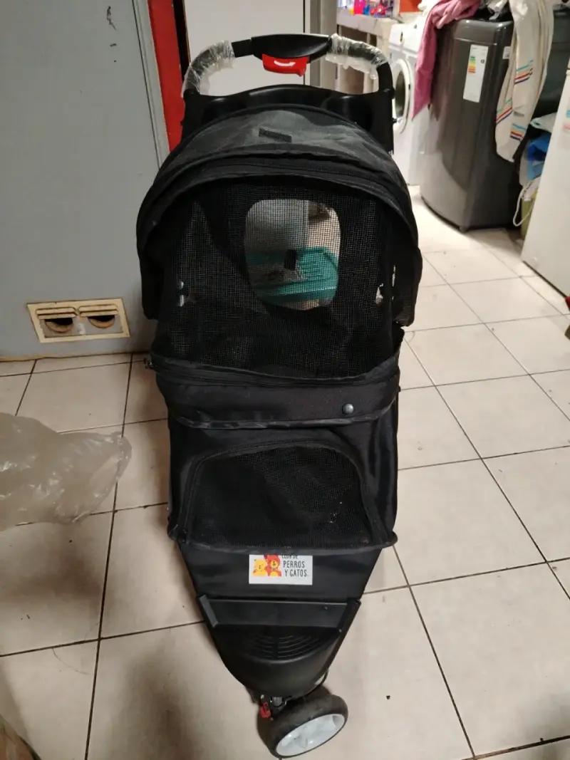 Coche para MASCOTA negro serrado por completo - 3