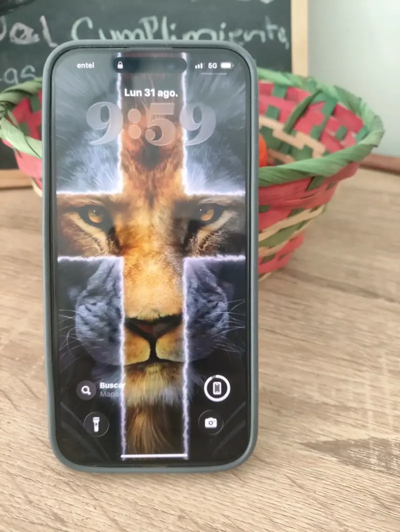 iPhone 15 Promax 256 GB con funda gris - 2