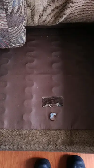 Sofá de tela marrón con cojines decorativos - miniatura 3