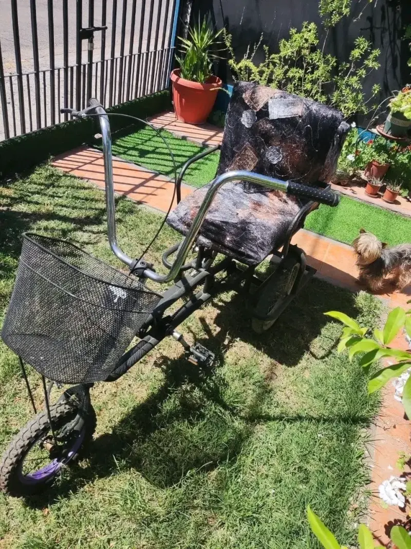 Triciclo de paseo para adultos con canasto