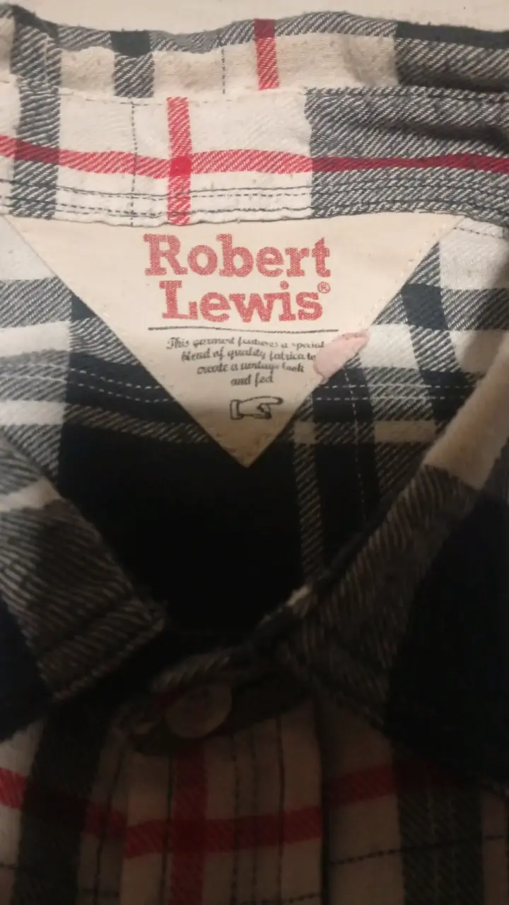 Camisa a cuadros Robert Lewis para hombre - 2