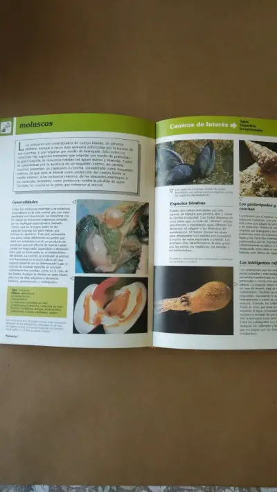 Enciclopedia del Estudiante Océano en buen estado - miniatura 3