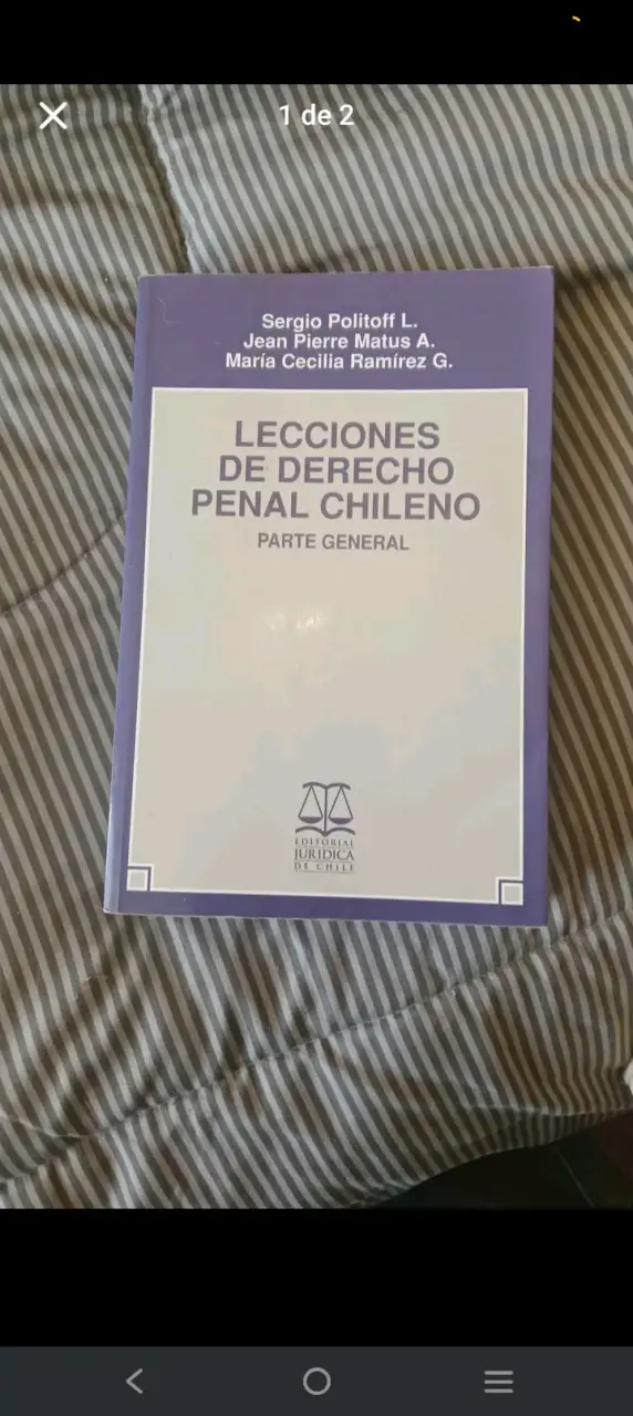 Libro Lecciones de Derecho Penal Chileno