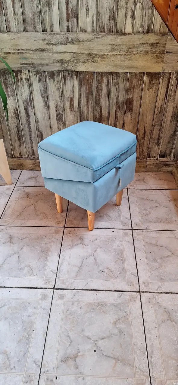Rampa para perritos y asiento pouf - 2