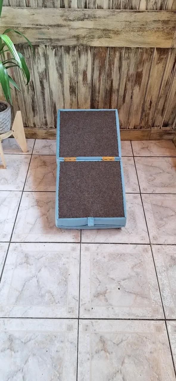 Rampa para perritos y asiento pouf - 3