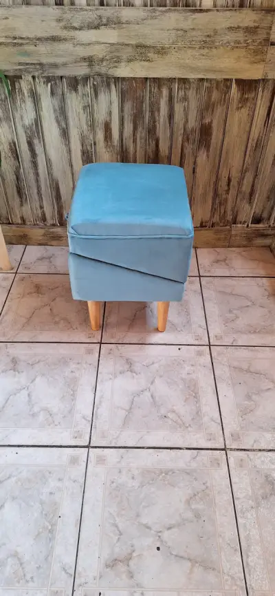 Rampa para perritos y asiento pouf - miniatura 5