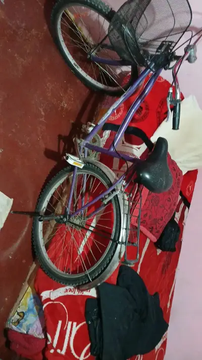 Bicicleta urbana morada con canasto - miniatura 1