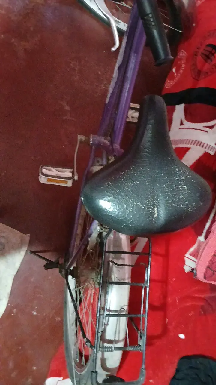 Bicicleta urbana morada con canasto - 2