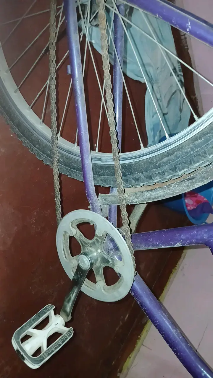 Bicicleta urbana morada con canasto - 4