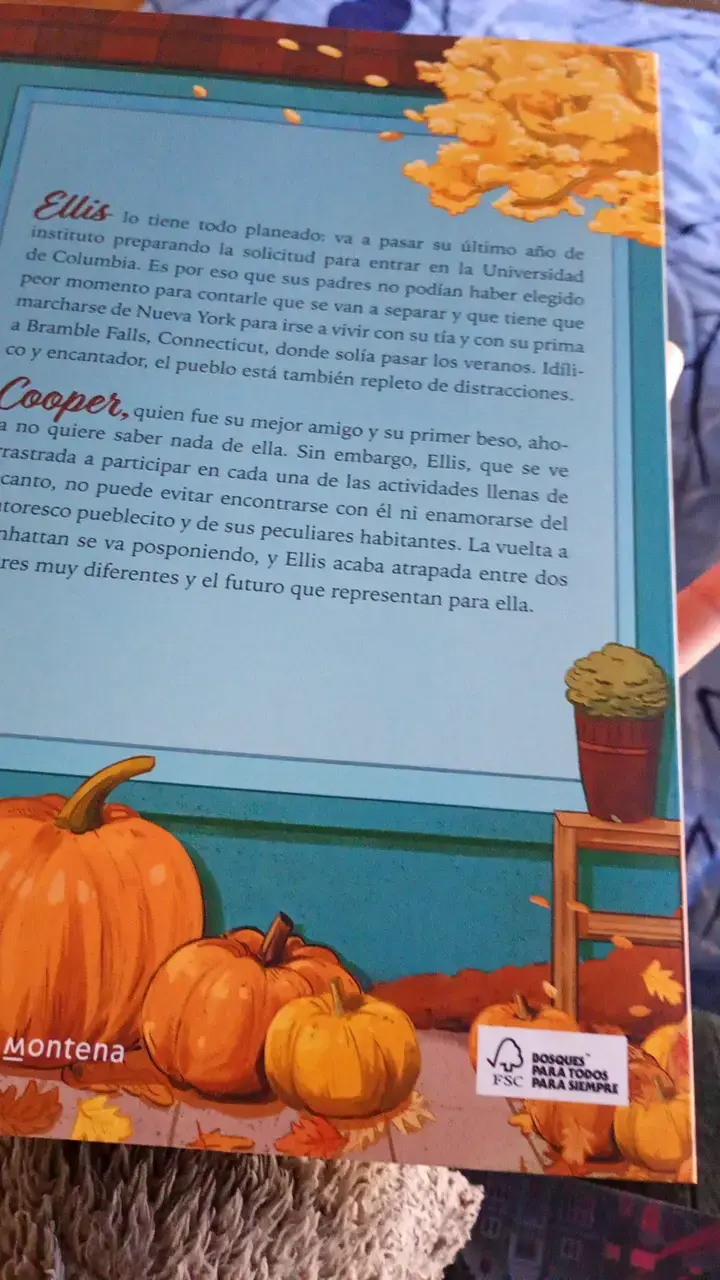 Libro 'Un otoño en Bramble Falls' de Misty Wilson - 3