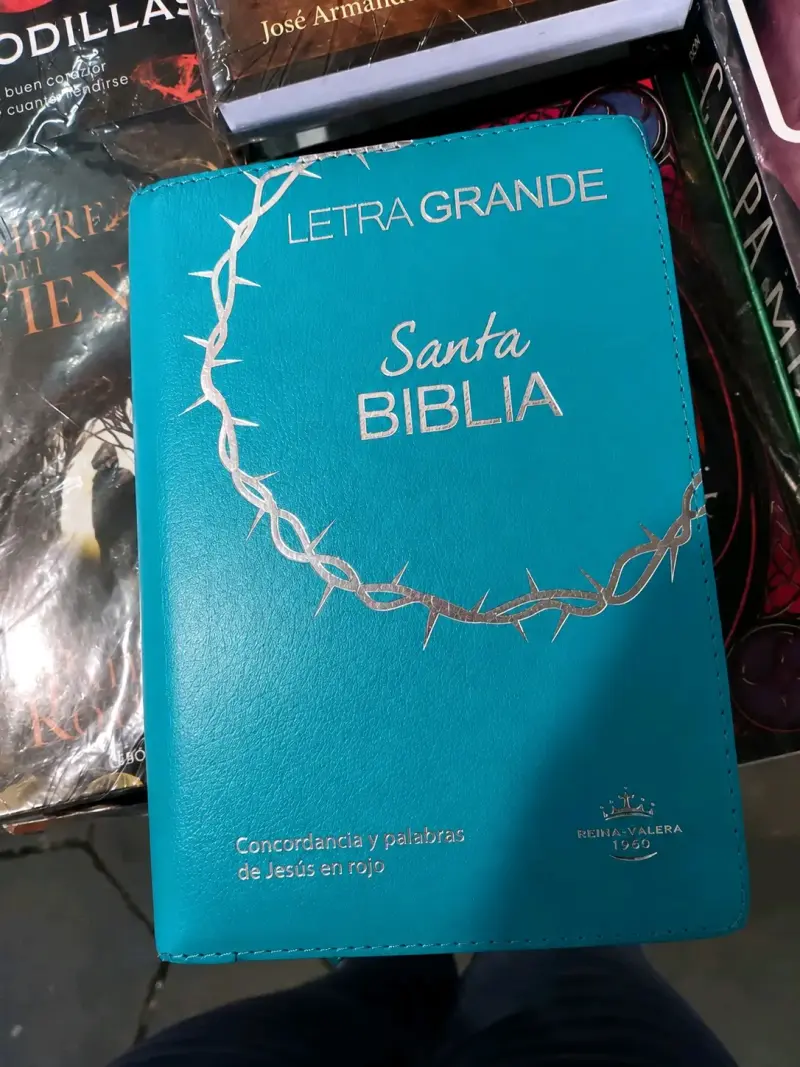 Santa Biblia Letra Grande Reina Valera 1960 - 1