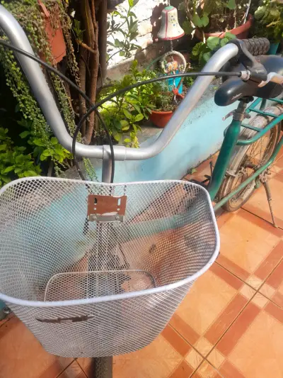 Bicicleta urbana verde con canasto - miniatura 2