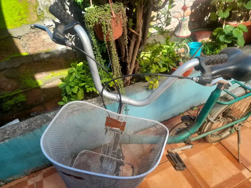 Bicicleta urbana verde con canasto - 3