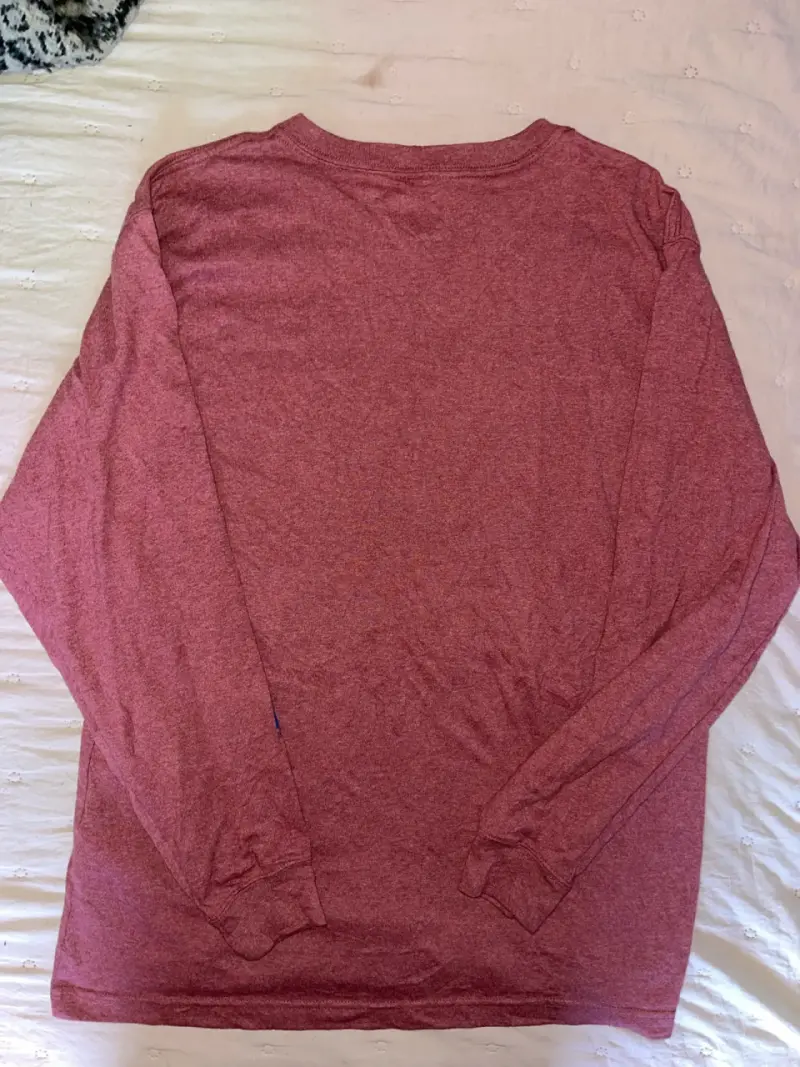 Polera manga larga Carhartt - 2