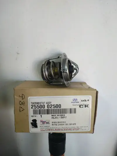 Termostato Hyundai Kia Original - miniatura 1