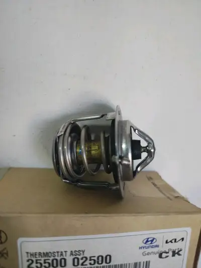 Termostato Hyundai Kia Original - miniatura 2