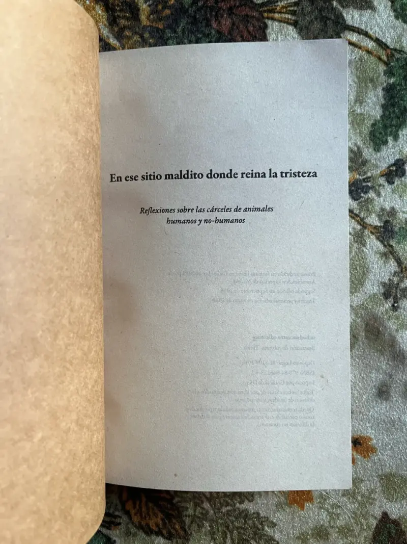 Libro 'En ese sitio maldito donde reina la tristeza' - 2