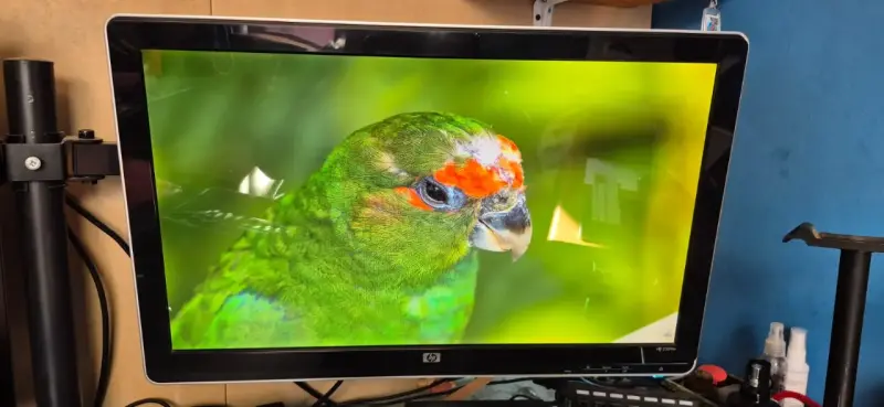 Monitor HP 2309m de 23 pulgadas Full HD - 5