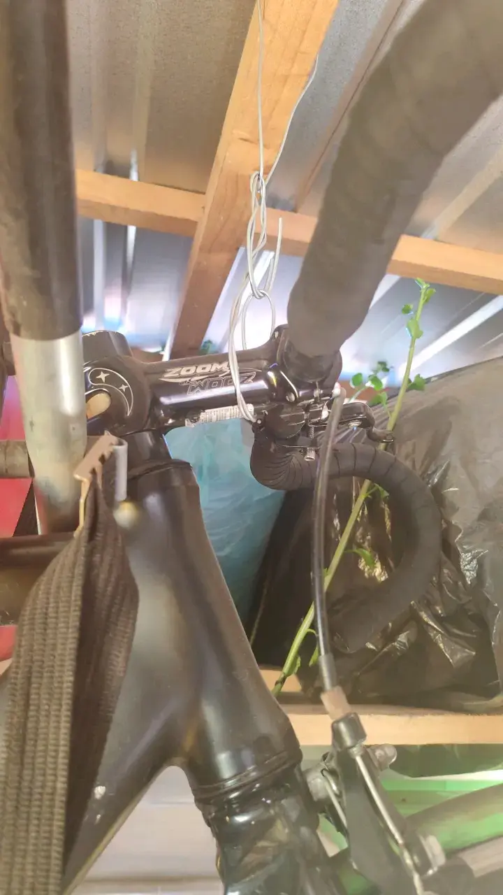 Bicicleta de pista con llantas verdes - 3