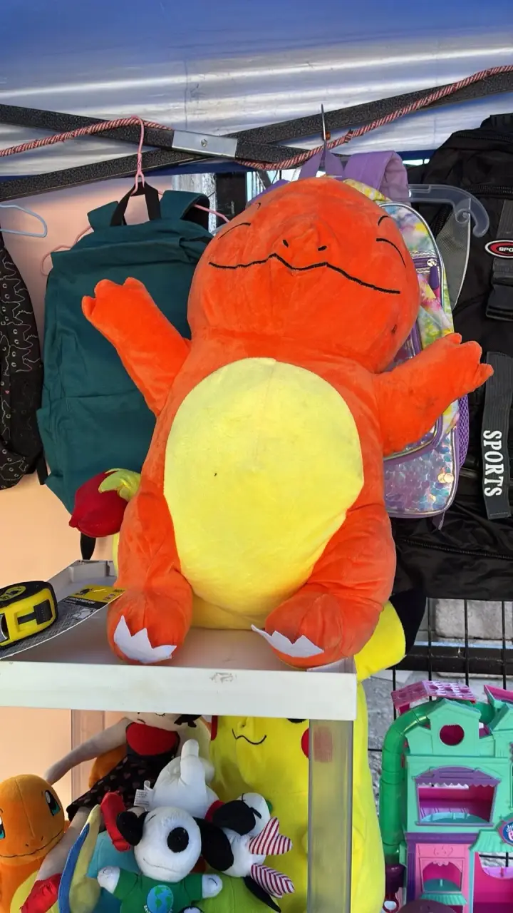 Vendo peluche charmander durmiendo - 3