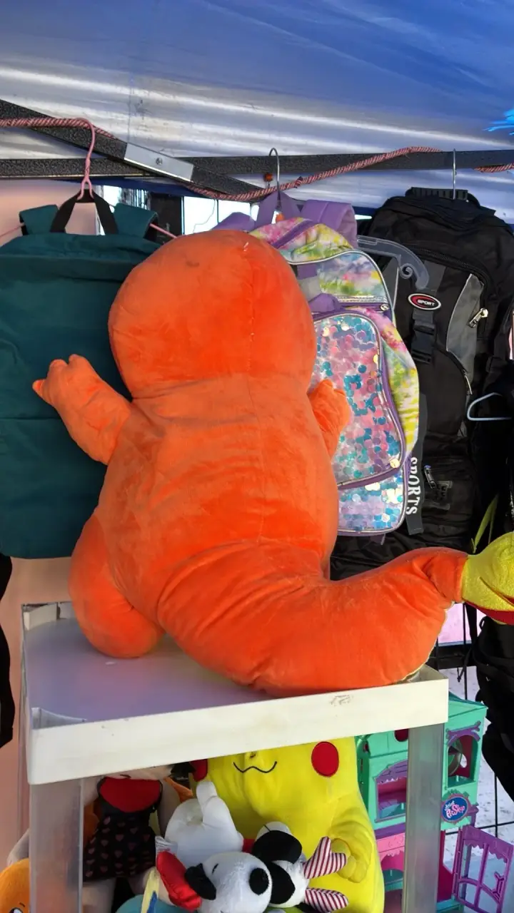 Vendo peluche charmander durmiendo - 4
