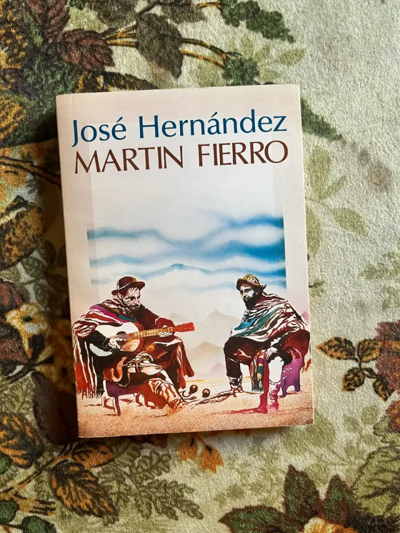Libro Martín Fierro de José Hernández - 1