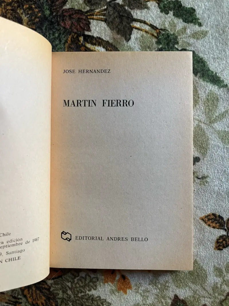 Libro Martín Fierro de José Hernández - 2