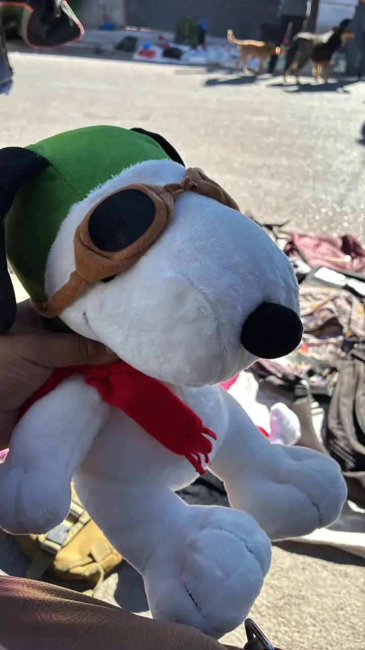 Peluches Snoopy variados con accesorios - 1