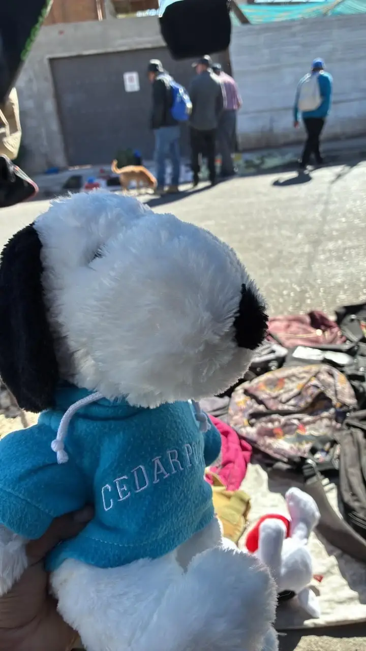 Peluches Snoopy variados con accesorios - 2