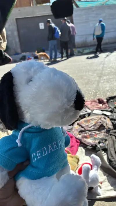 Peluches Snoopy variados con accesorios - miniatura 2