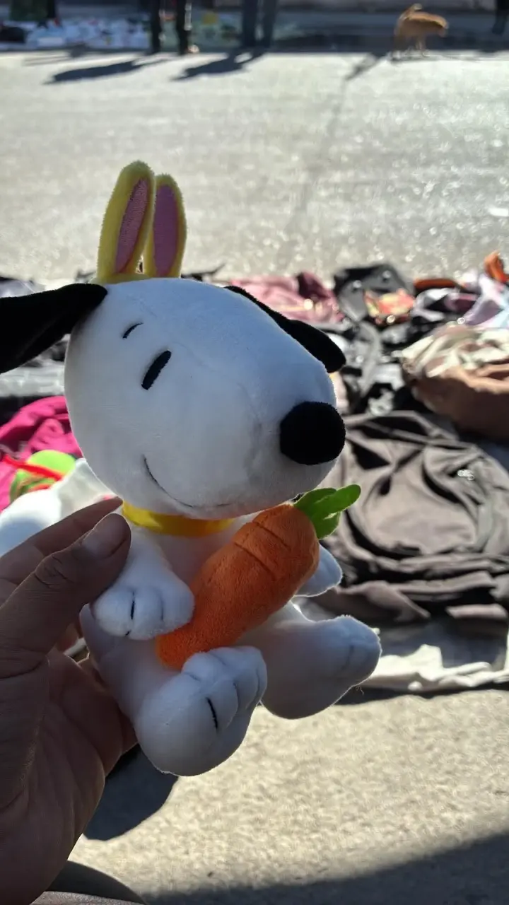 Peluches Snoopy variados con accesorios - 3