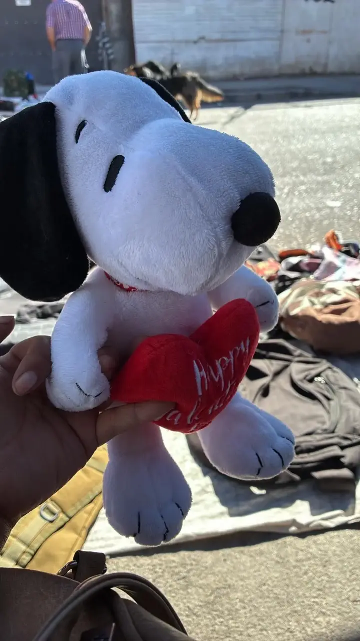 Peluches Snoopy variados con accesorios - 5