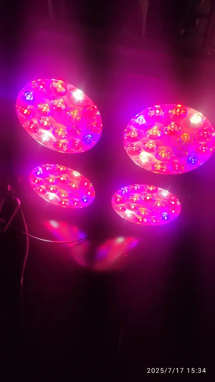 Luz LED Helios Apollo 4 cultivo interior 130w - 3