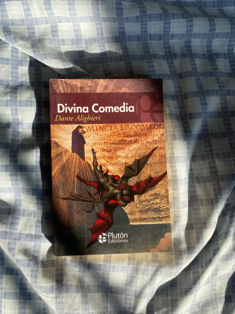 Libro Divina Comedia de Dante Alighieri - 1