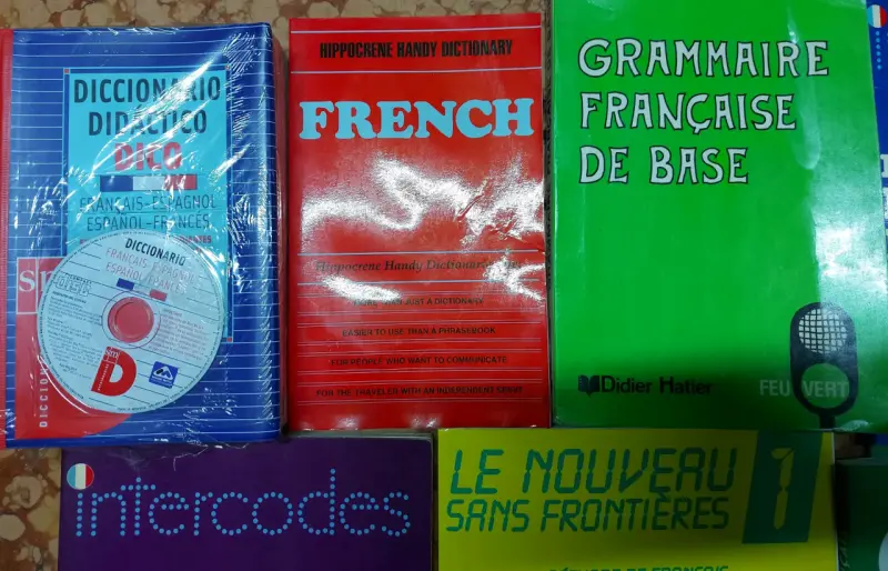 Lote de libros de aprendizaje de francés - 2
