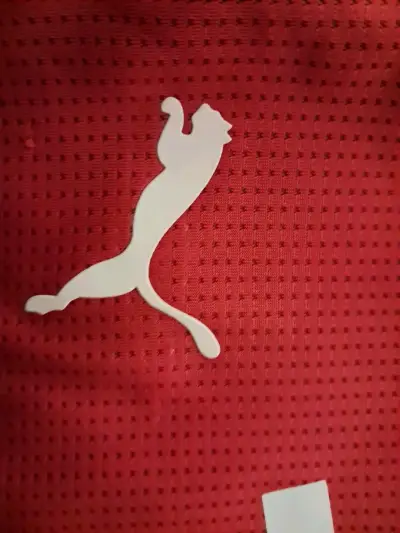 Camiseta Roja Selección Chile Puma Original - miniatura 4