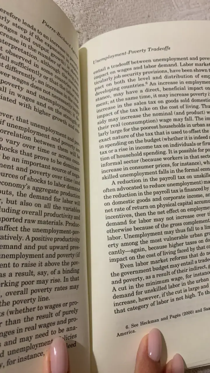 Libro Labor Markets and Institutions Central Bank of Chile - 3