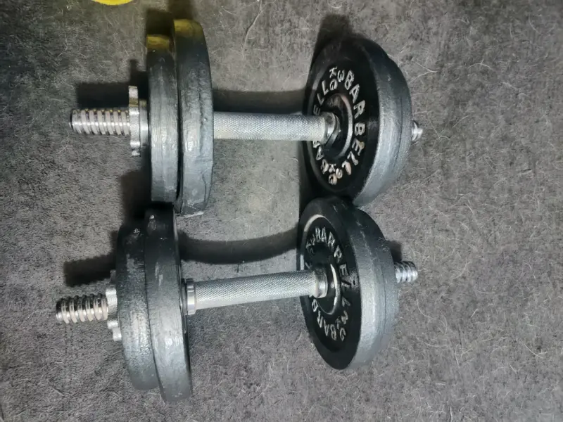 Mancuernas ajustables de hierro fundido