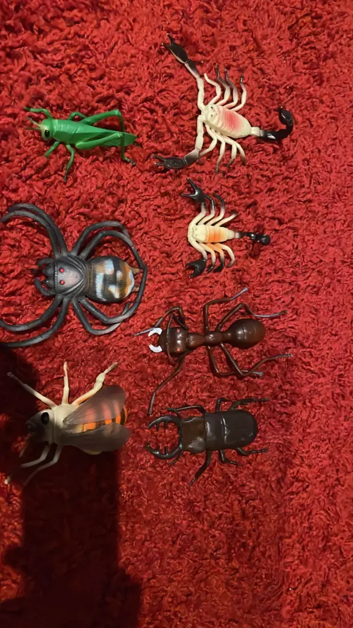 Set de insectos y arácnidos de juguete