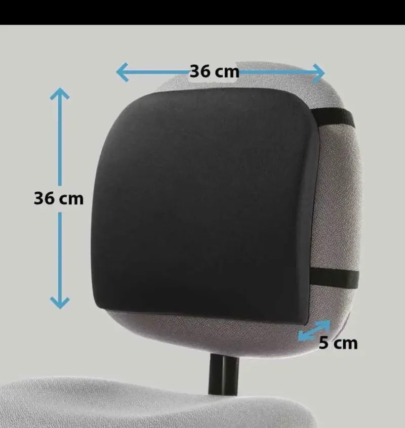 Cojín lumbar Memory Foam Kensington - 1