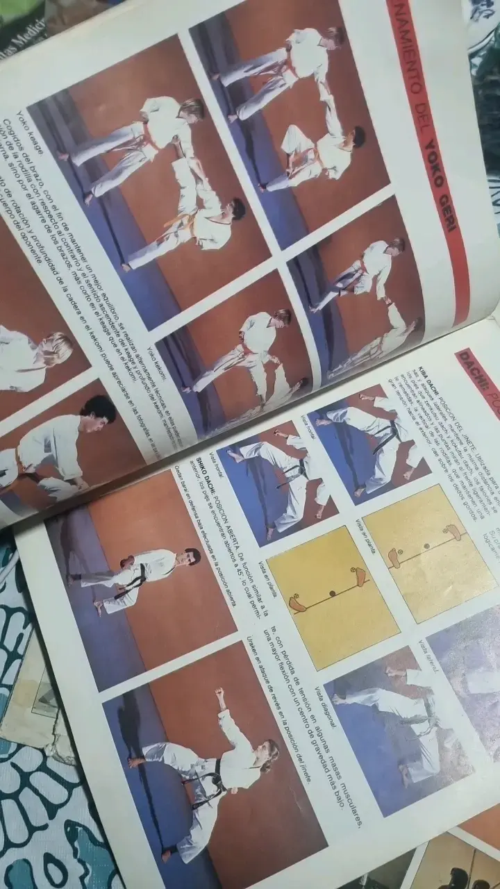 Enciclopedia Práctica de Artes Marciales Ediciones Nueva Lente - 5