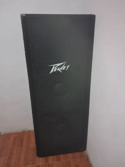 Parlante Peavey de gran potencia - miniatura 2