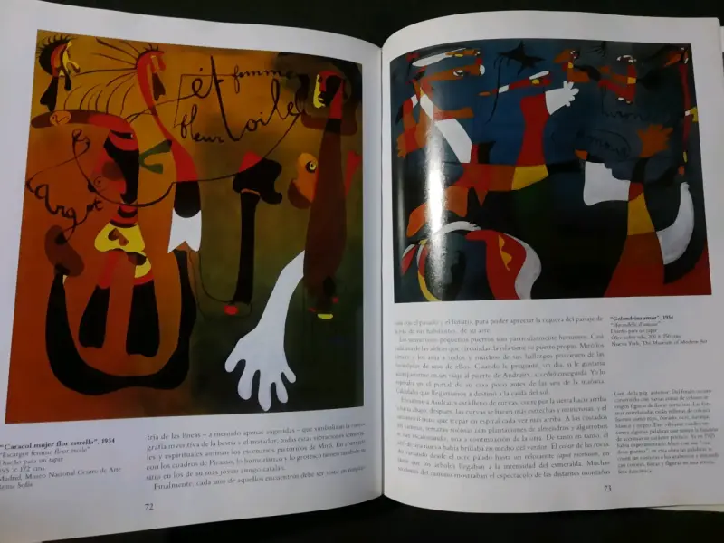 Libro de arte Miró por Walter Erben - 5