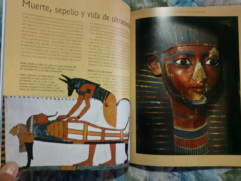 Libro La Civilización del Antiguo Egipto - 6